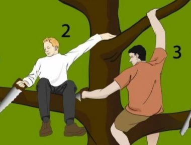 Ποιος είναι ο πιο χαζός εδώ; - Η κάθε μια από τις επιλογές σας δείχνει την προσωπικότητα σας